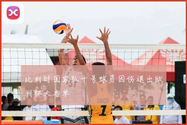 比利时国家队十号球员因伤退出欧洲杯大名单